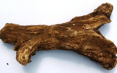 Remèdes naturels conseillés pour l’hypothyroïdie