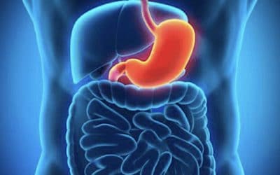 L’être humain n’a jamais rempli un récipient plus mauvais que le ventre.