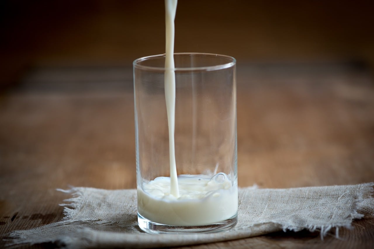 Le lait de chamelle – La Médecine Prophétique