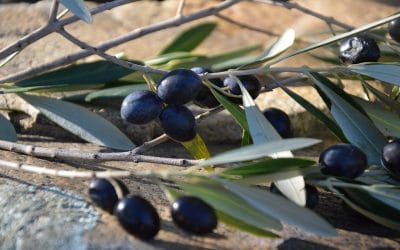 Remèdes naturels conseillés pour les problèmes d’urines fréquentes et de ballonnement