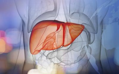 Remèdes naturels conseillés pour problèmes de foie